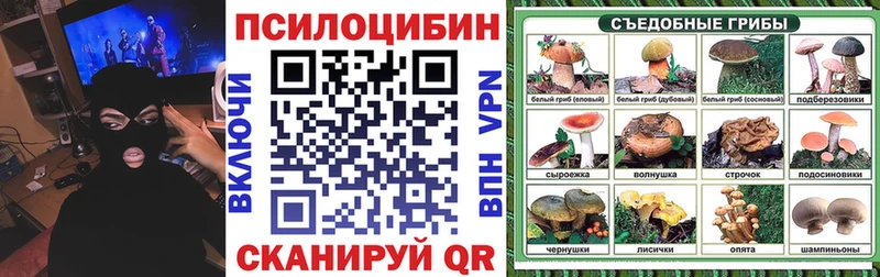 маркетплейс формула  Новохопёрск  Галлюциногенные грибы Magic Shrooms 